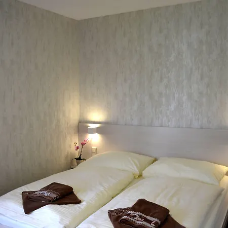 Pensionat Larion 3*