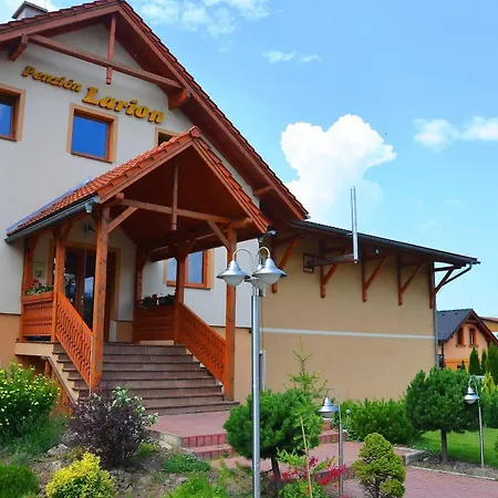 Guest house Larion 3*